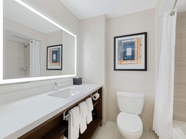 Embassy Suites Chicago - Centro de Chicago River North image 48